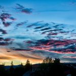 20464715_10155524428766354_1829417946_o