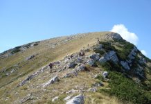 Memorijalni pohod “Da se ne zaboravi 29.09.1991.” u Svetom Roku