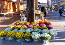 Gospićka placa petkom