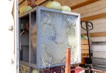 Gospićka placa petkom